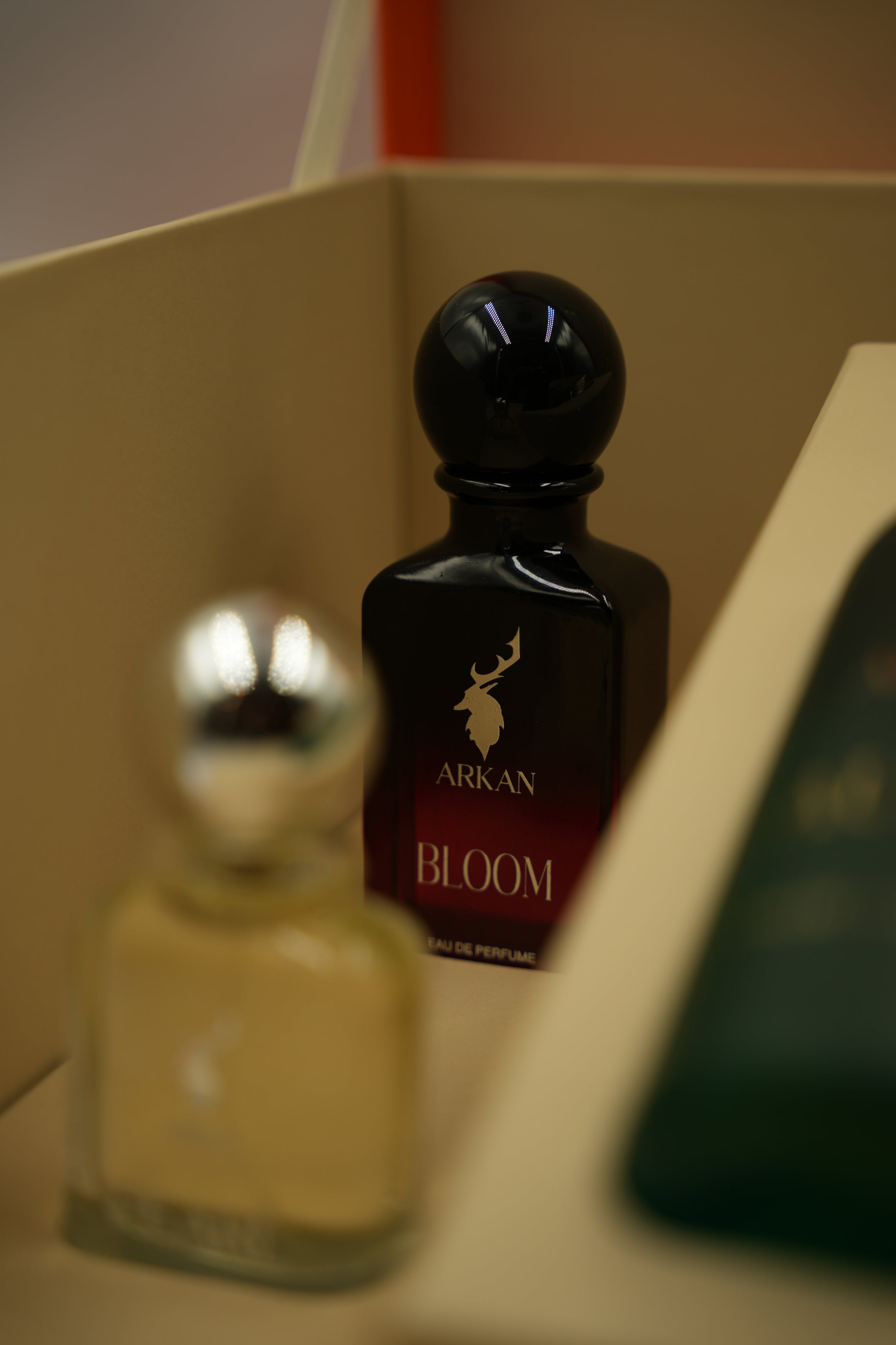 بوكس اركان سيجنتشر | Box ARKAN Signature